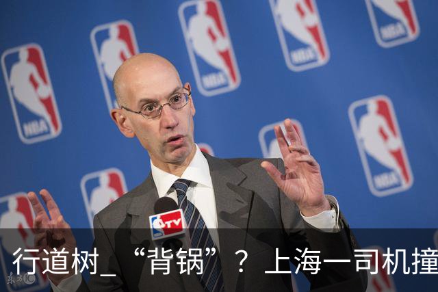 行道树 “背锅”？上海一司机撞树后主张树木全责，结果来了
